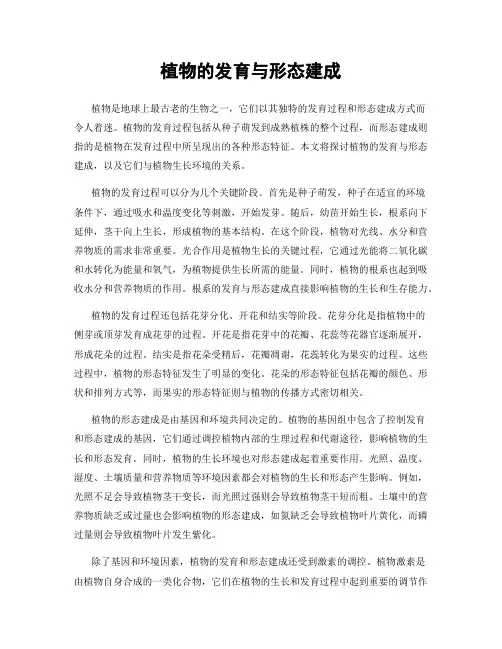 植物的发育与形态建成