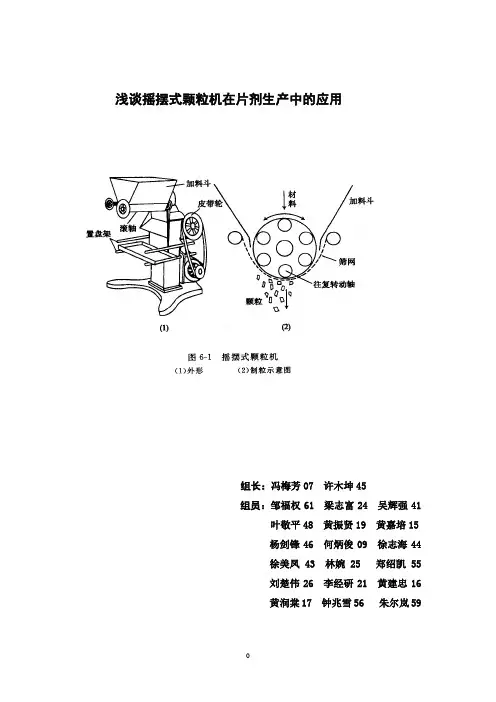 摇摆式颗粒机制作片剂的应用