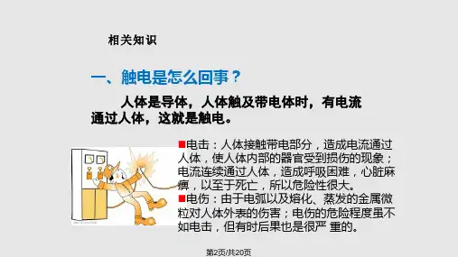 跨步电压触电.pptx