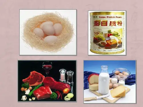人教化学选修5第4章第三节蛋白质和核酸(共20张PPT) (1)