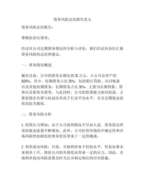 债务风险总结报告范文