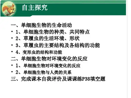 [初中生物]单细胞生物课件+苏教版生物七年级上册