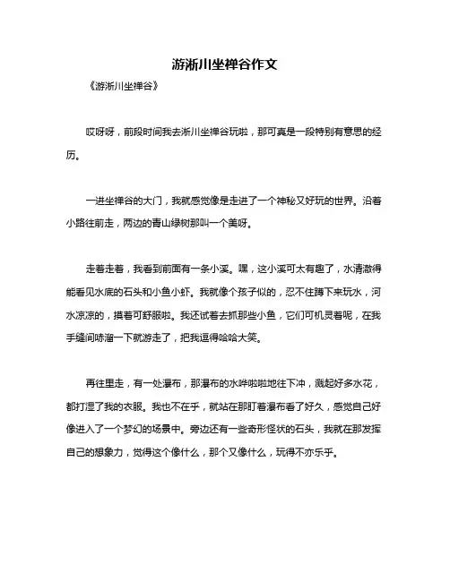 游淅川坐禅谷作文