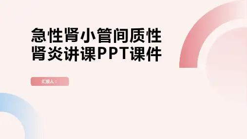 急性肾小管间质性肾炎讲课PPT课件
