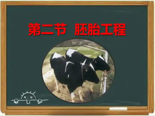 《现代生物科技专题》《胚胎工程》教学课件-新版