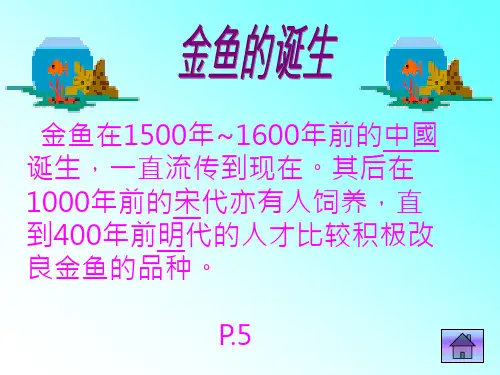 金鱼的介绍