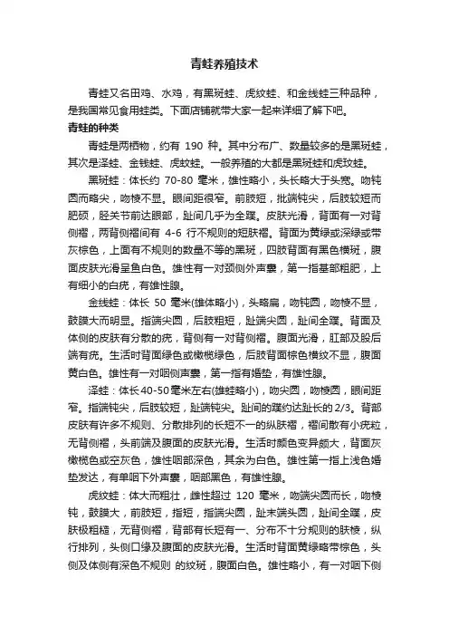 青蛙养殖技术