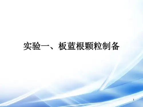 板蓝根颗粒制备ppt课件