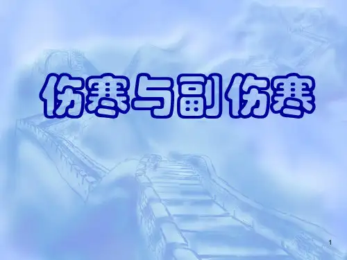 伤寒与副伤寒