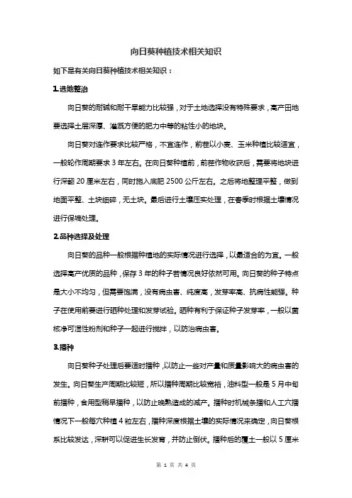 向日葵种植技术相关知识