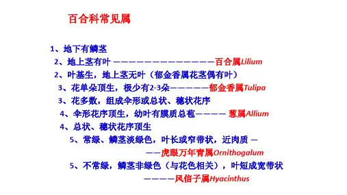 检索表