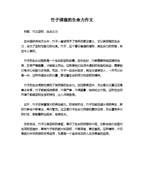 竹子顽强的生命力作文