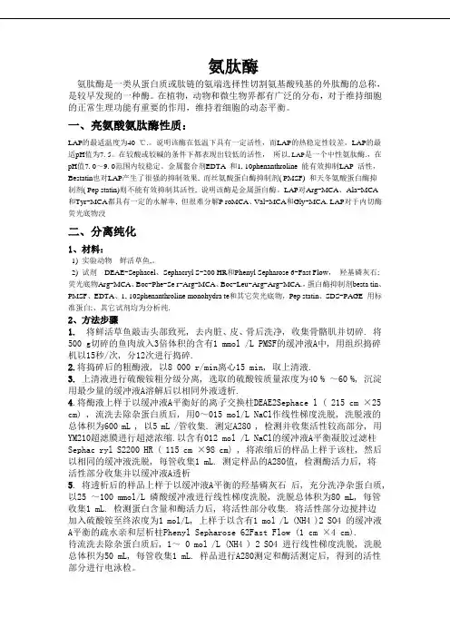氨肽酶