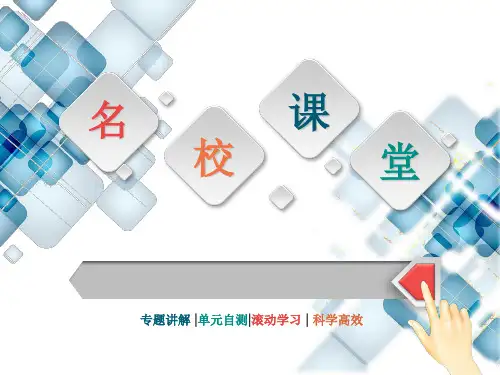 鲁教版九年级化学课件：专题复习(一)我们身边的物质(共84张PPT)