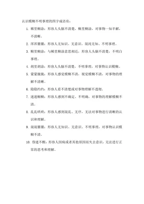 认识模糊不明事理的四字成语