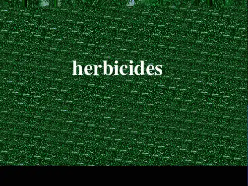 第五章--除草剂全文编辑修改