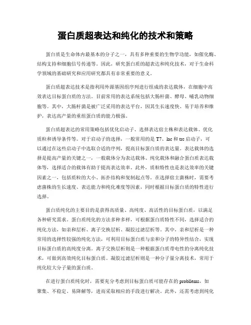 蛋白质超表达和纯化的技术和策略