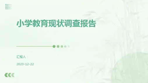 小学教育现状调查报告