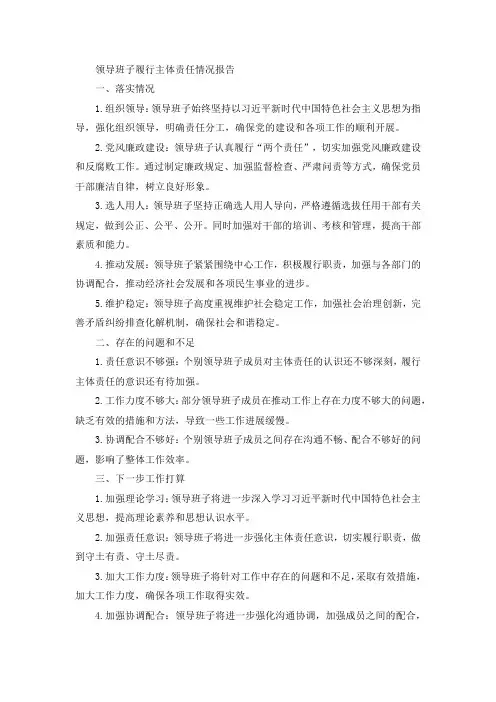 领导班子履行主体责任情况报告