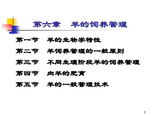 羊饲养管理