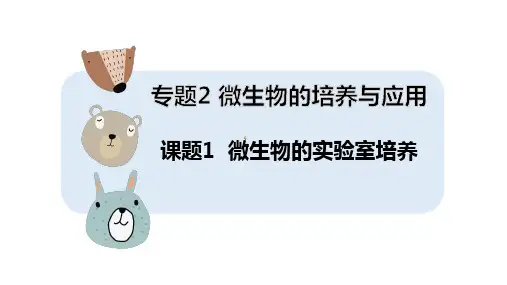 高三一轮复习生物课件：专题2课题1微生物的实验室培养