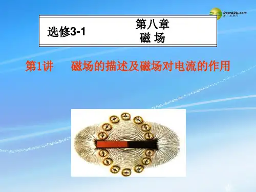 重庆市万州区龙宝中学高考物理总复习 第8章 第1讲 磁场的描述及磁场对电流的作用课件