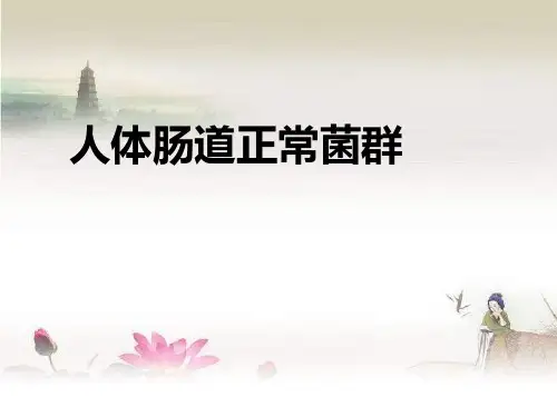 人体肠道菌群-PPT
