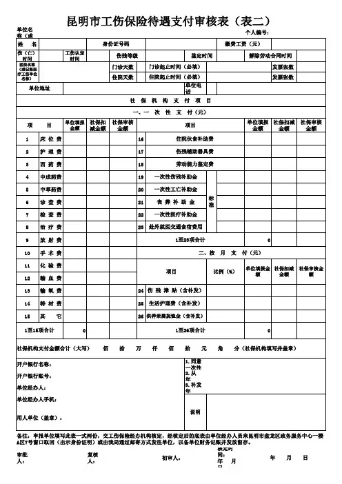 工伤保险待遇支付审核表