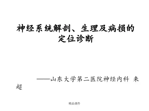 神经系统解剖、生理及病损的定位诊断ppt课件