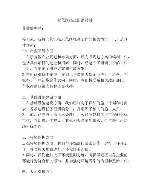 示范区推进汇报材料
