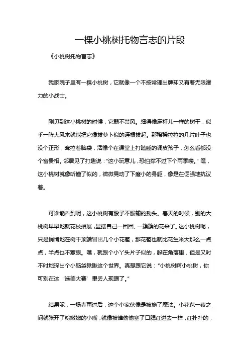 一棵小桃树托物言志的片段