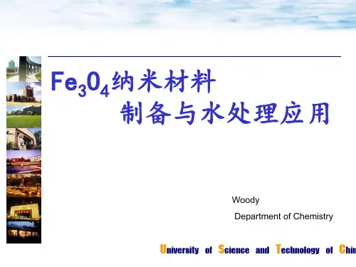 Fe3O4合成与改性