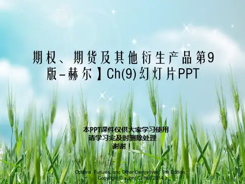 期权、期货及其他衍生产品第9版-赫尔】Ch(9)幻灯片PPT