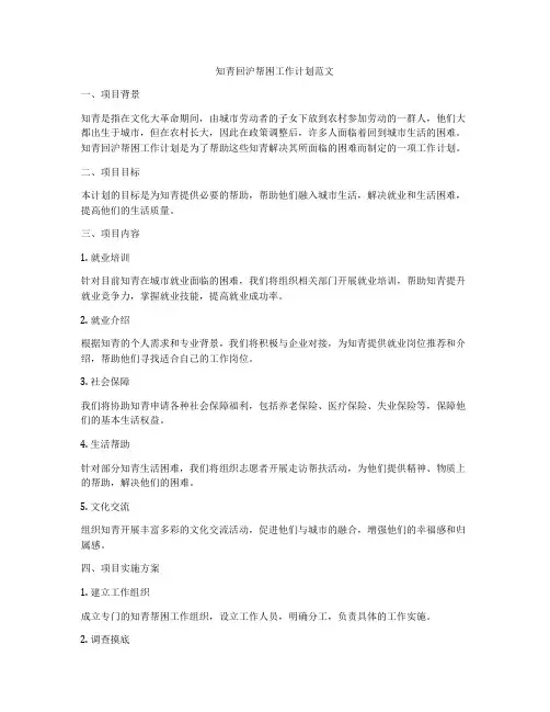 知青回沪帮困工作计划范文