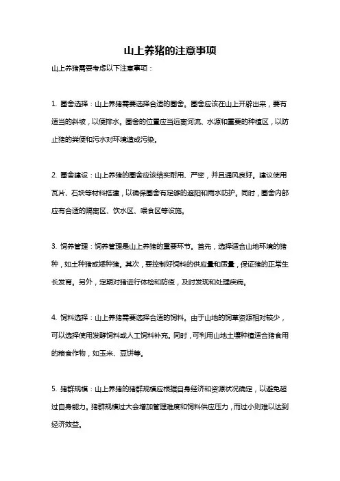 山上养猪的注意事项