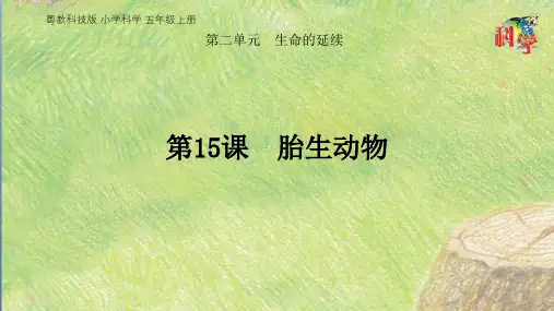 五年级上册科学课件 胎生动物(共19页)PPT粤教版
