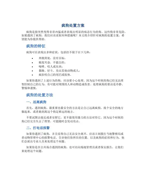 疯狗处置方案