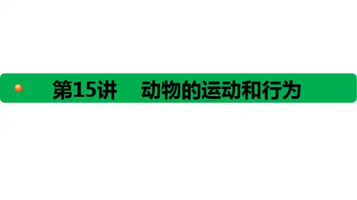 初中生物课件：第15讲动物的运动