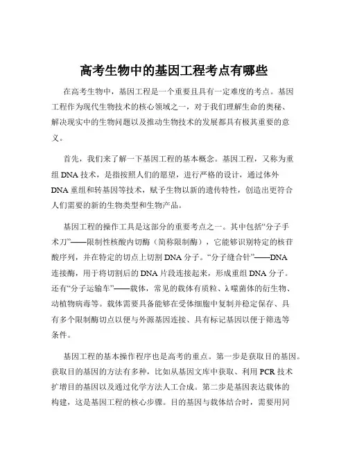 高考生物中的基因工程考点有哪些