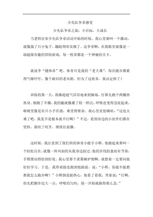 少先队争章感受