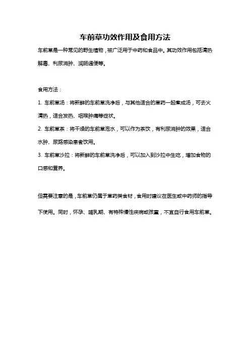 车前草功效作用及食用方法