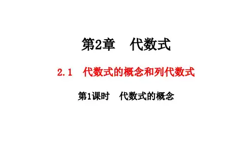 湘教版数学七年级上册2.1 第1课时 代数式的概念课件(共25张PPT)
