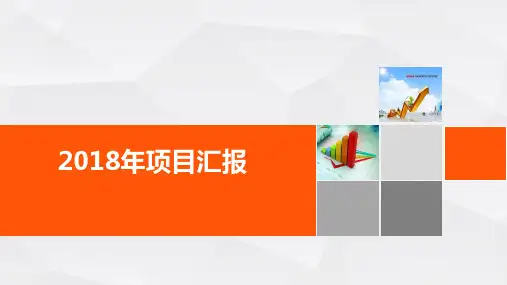项目合作流程ppt
