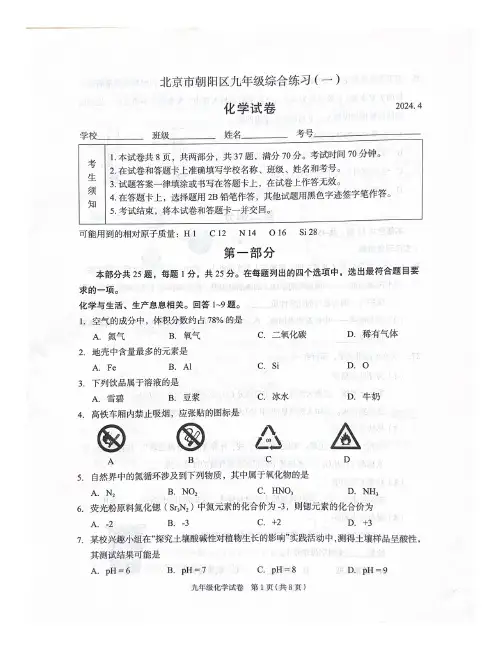 2024年北京朝阳区初三一模考试化学及答案