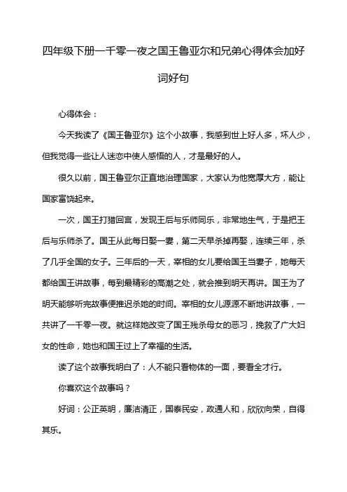 四年级下册一千零一夜之国王鲁亚尔和兄弟心得体会加好词好句
