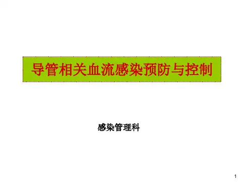 导管相关血流感染预防与控制