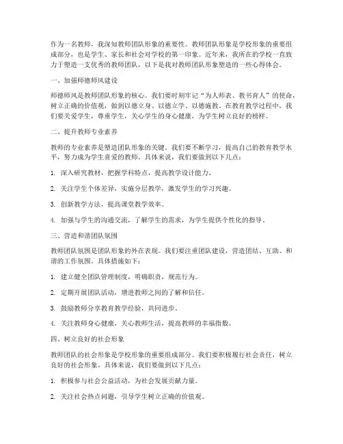 教师团队形象塑造心得体会