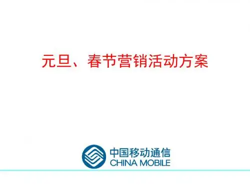 中国移动通信元旦、春节营销方案(PPT 48张)