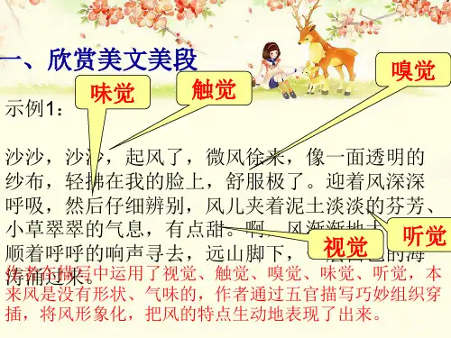 初中作文指导：让你的感官动起来优秀课件(3份)