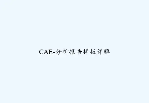 CAE-分析报告样板详解 PPT